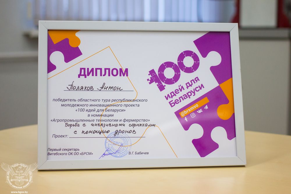 Диплом 100 идей для Беларуси