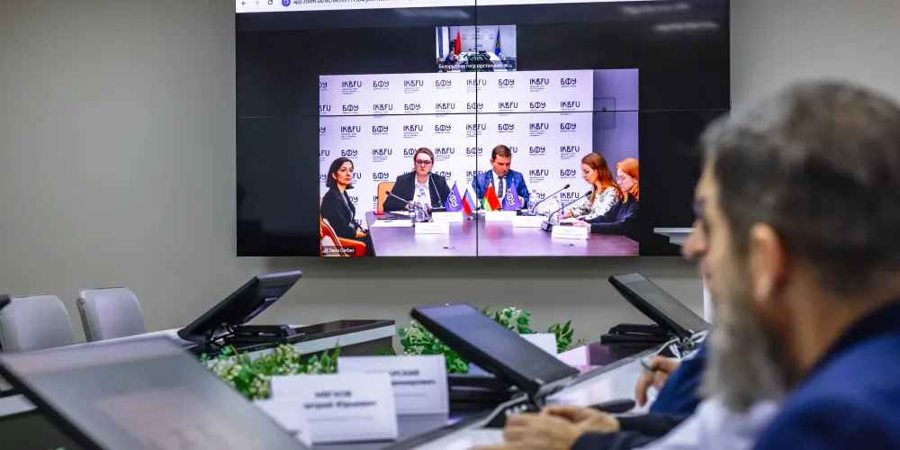 Онлайн-встреча БГАА и БФУ
