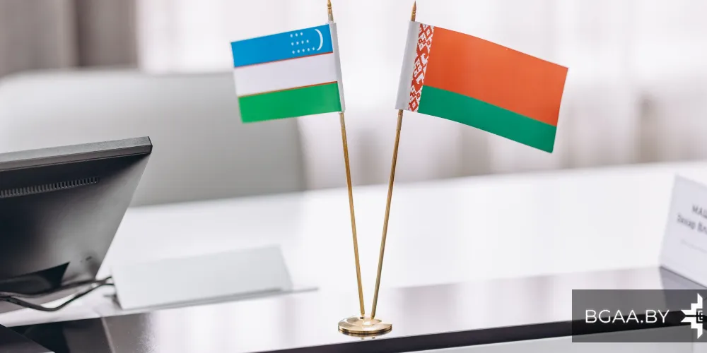 Онлайн-встреча представителей БГАА и ТГТУ