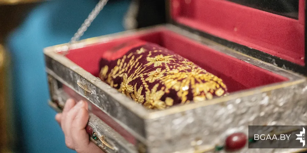 «Молодежь Беларуси за жизнь, нравственность и семейные ценности»: итоги команды БГАА за март