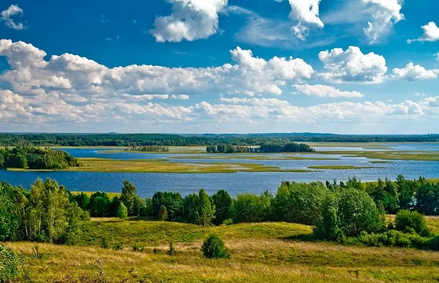 Новость