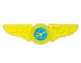 Департамент по авиации